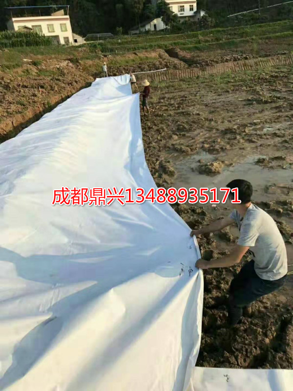 復合土工膜是必不可少的防汛物資